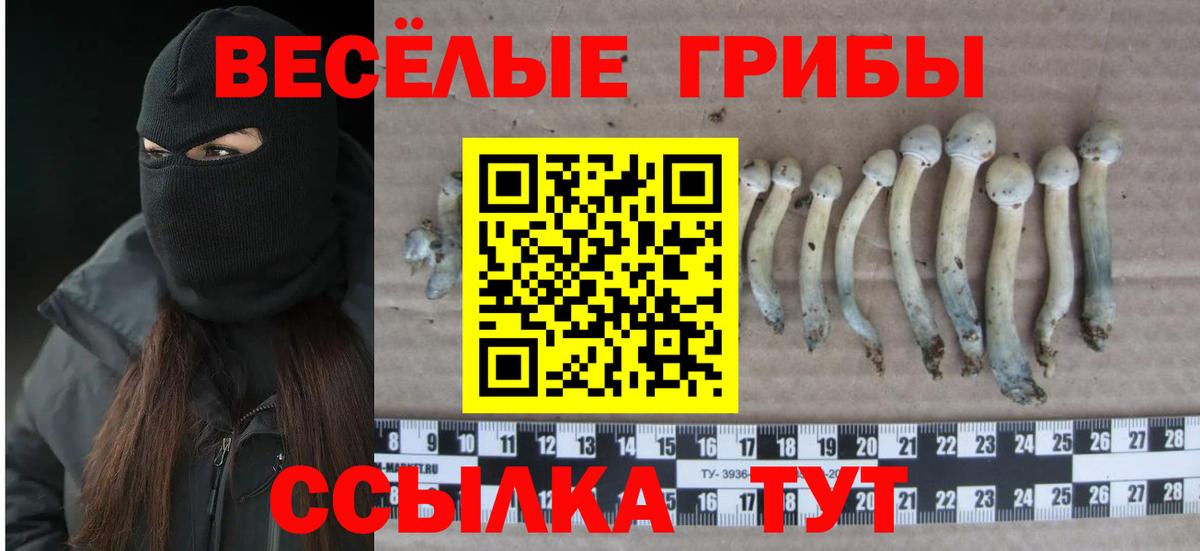 Галлюциногенные грибы Cubensis  Вход с VPN  Усолье-Сибирское 